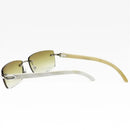 Óculos de Sol Masculino CHUYONG – Modelo Antler