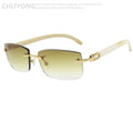 Óculos de Sol Masculino CHUYONG – Modelo Antler