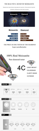 Brincos Solitário Moissanite em Prata
